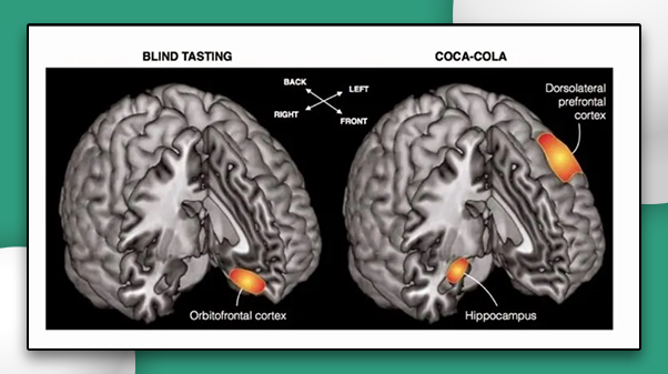 blind-testing-coca-cola